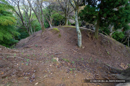 霧山城矢倉跡の堀切 | 高解像度画像サイズ:6000 x 4000 pixels | 写真番号:IMG_0943 | 撮影:Canon EOS R10