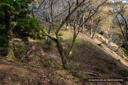 霧山城本丸跡から矢倉跡を望む | 高解像度画像サイズ：6000 x 4000 pixels | 写真番号：IMG_0964 | 撮影：Canon EOS R10