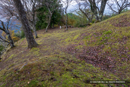 霧山城米倉跡 | 高解像度画像サイズ:6000 x 4000 pixels | 写真番号:IMG_0976 | 撮影:Canon EOS R10