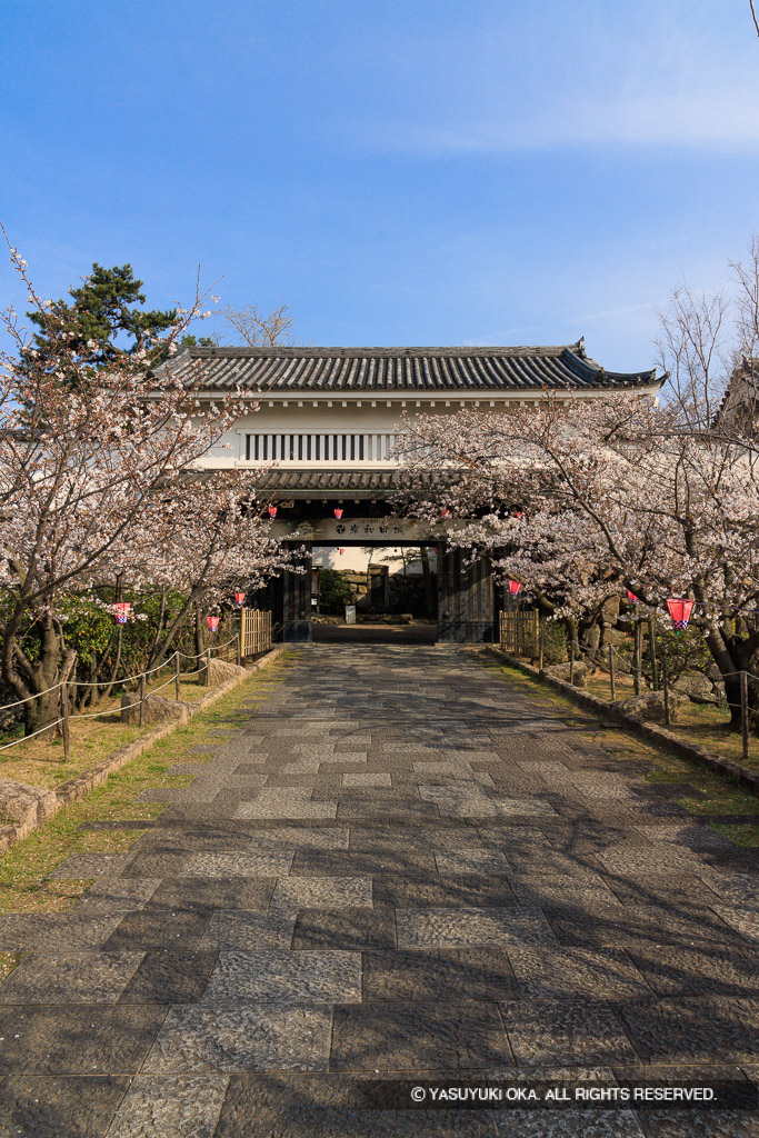 本丸櫓門・春