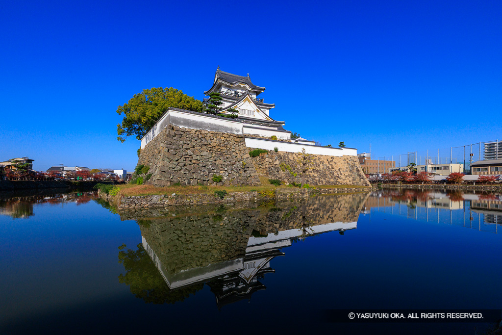 岸和田城本丸石垣と天守