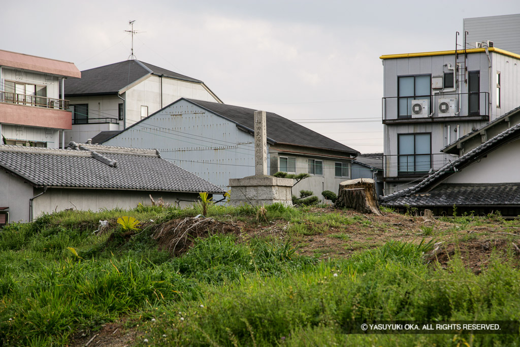 岸和田古城跡・宅地開発前