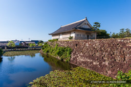 百間堀と二の丸 | 高解像度画像サイズ：5364 x 3576 pixels | 写真番号：1P3J7245 | 撮影：Canon EOS-1Ds Mark III