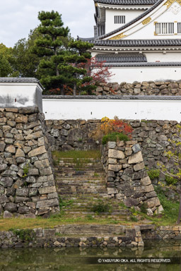 本丸東虎口と橋跡 | 高解像度画像サイズ：5464 x 8192 pixels | 写真番号：344A4402 | 撮影：Canon EOS R5