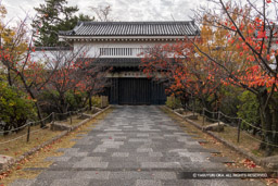 本丸櫓門・秋 | 高解像度画像サイズ：8192 x 5464 pixels | 写真番号：344A4406 | 撮影：Canon EOS R5