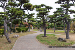 二の丸御殿跡 | 高解像度画像サイズ：7124 x 4752 pixels | 写真番号：344A4409 | 撮影：Canon EOS R5