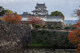 二の丸西二重門跡と土橋を望む | 高解像度画像サイズ：8115 x 5412 pixels | 写真番号：344A4424 | 撮影：Canon EOS R5