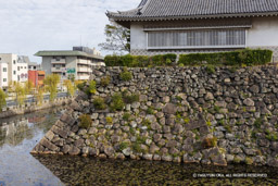 中村一氏時代の天主跡? | 高解像度画像サイズ:8192 x 5464 pixels | 写真番号:344A4427 | 撮影:Canon EOS R5