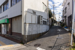 三の曲輪の高低差と土橋跡 | 高解像度画像サイズ:8192 x 5464 pixels | 写真番号:344A4456 | 撮影:Canon EOS R5