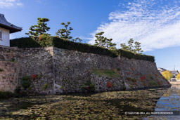 ハバキ石垣・二の丸石垣 | 高解像度画像サイズ:7729 x 5155 pixels | 写真番号:344A4477 | 撮影:Canon EOS R5