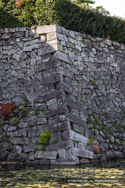 二の丸東北隅部 | 高解像度画像サイズ：5464 x 8192 pixels | 写真番号：344A4479 | 撮影：Canon EOS R5