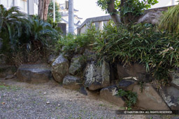 岸和田城の堀の残石か(岸城神社) | 高解像度画像サイズ:7290 x 4863 pixels | 写真番号:344A4551 | 撮影:Canon EOS R5
