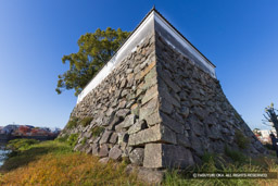 本丸東南隅石垣　※特別公開時 | 高解像度画像サイズ：8192 x 5464 pixels | 写真番号：344A4625 | 撮影：Canon EOS R5