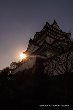 天守と光芒 | 高解像度画像サイズ：5464 x 8192 pixels | 写真番号：344A4640 | 撮影：Canon EOS R5