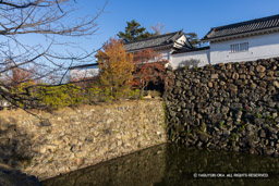 本丸土橋と櫓門 | 高解像度画像サイズ：8192 x 5464 pixels | 写真番号：344A4658 | 撮影：Canon EOS R5