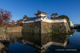 南西から望む本丸 | 高解像度画像サイズ：8192 x 5464 pixels | 写真番号：344A4660 | 撮影：Canon EOS R5