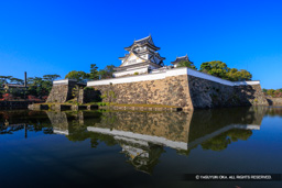 岸和田城本丸石垣と天守 | 高解像度画像サイズ：8192 x 5464 pixels | 写真番号：6F1A6777 | 撮影：Canon EOS R5m2