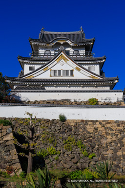 天守東面 | 高解像度画像サイズ：5464 x 8192 pixels | 写真番号：6F1A6799 | 撮影：Canon EOS R5m2