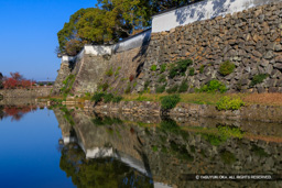 犬走りと本丸石垣 | 高解像度画像サイズ：8192 x 5464 pixels | 写真番号：6F1A6800 | 撮影：Canon EOS R5m2