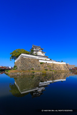 岸和田城本丸石垣と天守 | 高解像度画像サイズ：5257 x 7882 pixels | 写真番号：6F1A6834 | 撮影：Canon EOS R5m2