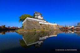 岸和田城本丸石垣と天守 | 高解像度画像サイズ：8192 x 5464 pixels | 写真番号：6F1A6835 | 撮影：Canon EOS R5m2