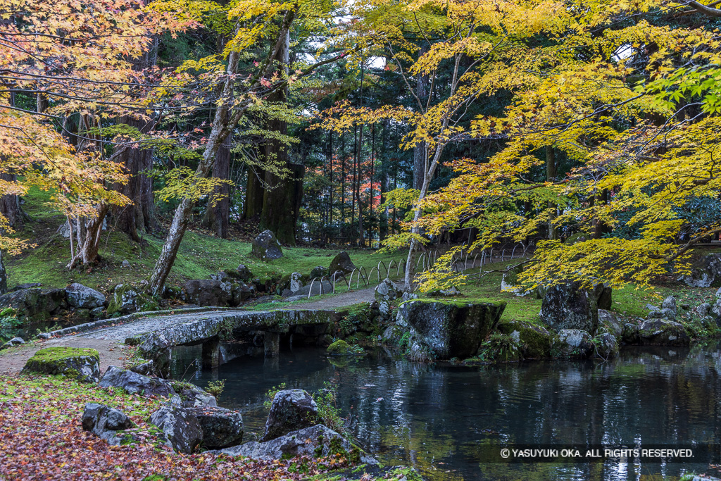 北畠氏館跡庭園の紅葉