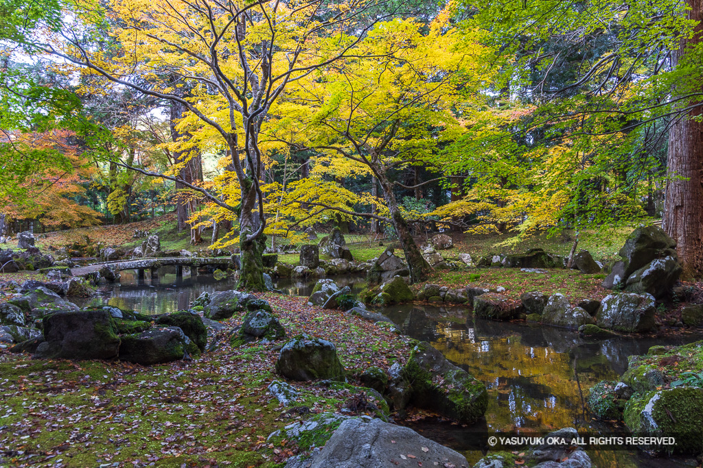 北畠氏館跡庭園の紅葉