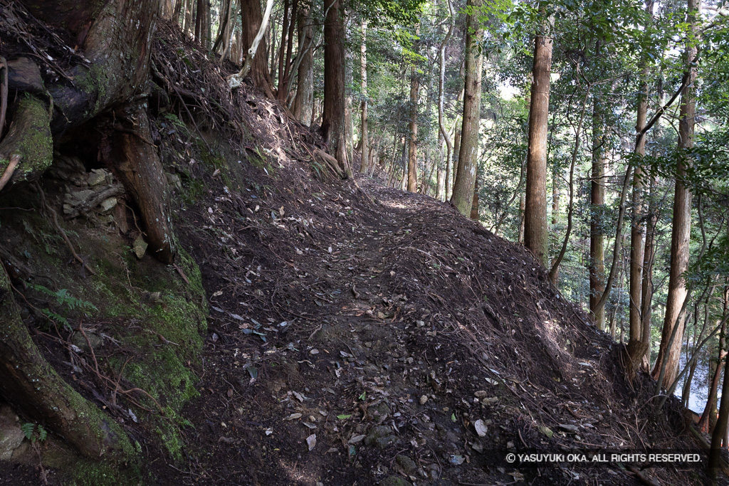 詰城登山道