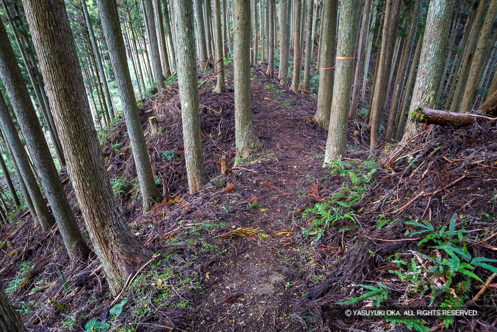北畠氏館詰城跡・曲輪B堀切と土橋