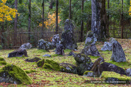 北畠氏館跡庭園 | 高解像度画像サイズ:7892 x 5264 pixels | 写真番号:344A3751 | 撮影:Canon EOS R5