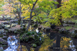 北畠氏館跡庭園 | 高解像度画像サイズ:7902 x 5271 pixels | 写真番号:344A3789 | 撮影:Canon EOS R5