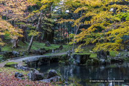 北畠氏館跡庭園の紅葉 | 高解像度画像サイズ：8192 x 5464 pixels | 写真番号：344A3800 | 撮影：Canon EOS R5