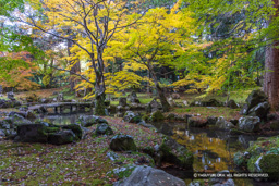 北畠氏館跡庭園の紅葉 | 高解像度画像サイズ：8192 x 5464 pixels | 写真番号：344A3811 | 撮影：Canon EOS R5