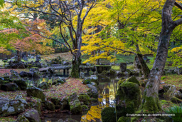 北畠氏館跡庭園の紅葉 | 高解像度画像サイズ：8014 x 5345 pixels | 写真番号：344A3829 | 撮影：Canon EOS R5