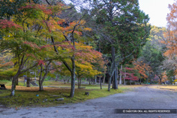 北畠氏館跡 | 高解像度画像サイズ:8192 x 5464 pixels | 写真番号:344A3849 | 撮影:Canon EOS R5