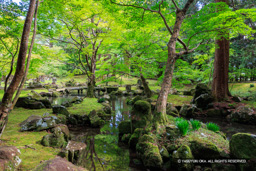 北畠氏館跡庭園 | 高解像度画像サイズ:5695 x 3797 pixels | 写真番号:IMG_1042 | 撮影:Canon EOS R10