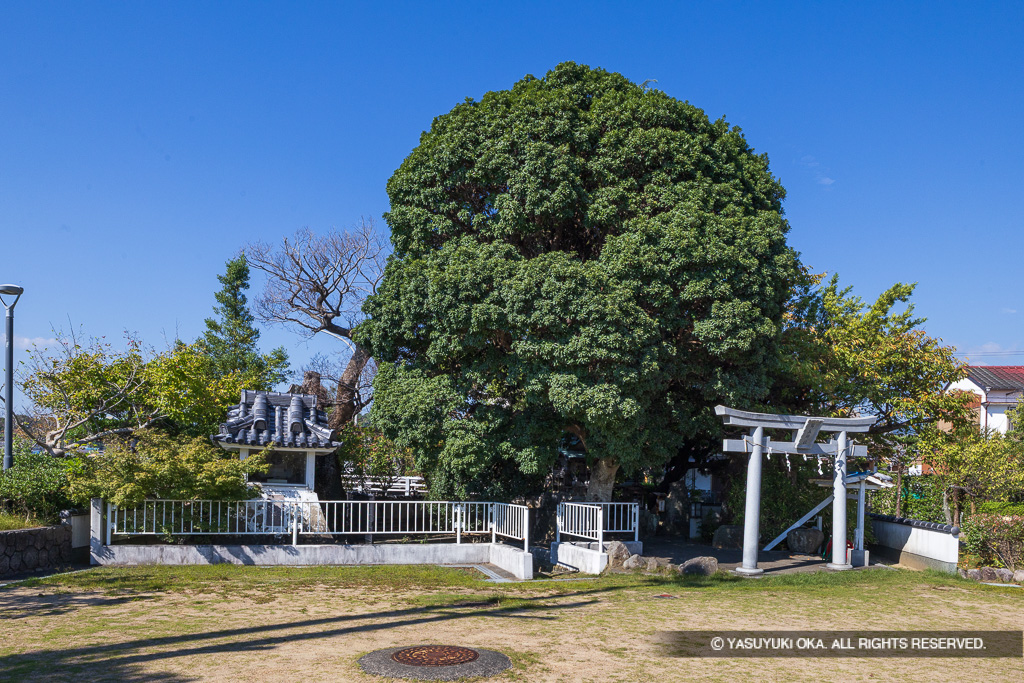 錦水公園・錦水神社