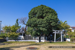 錦水公園・錦水神社 | 高解像度画像サイズ：8192 x 5464 pixels | 写真番号：6F1A9810 | 撮影：Canon EOS R5m2