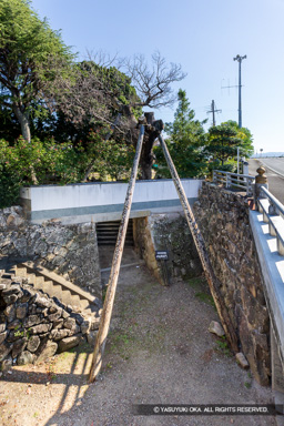 田辺城水門跡 | 高解像度画像サイズ:5123 x 7681 pixels | 写真番号:6F1A9818 | 撮影:Canon EOS R5m2