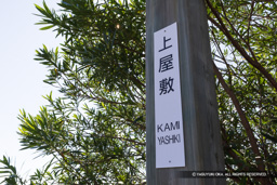 上屋敷 | 高解像度画像サイズ:8192 x 5464 pixels | 写真番号:6F1A9829 | 撮影:Canon EOS R5m2