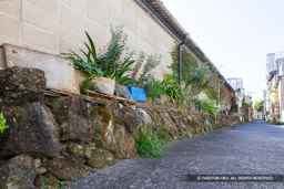 外堀石垣跡 | 高解像度画像サイズ:8192 x 5464 pixels | 写真番号:6F1A9834 | 撮影:Canon EOS R5m2