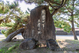 熊野水軍出陣の地碑 | 高解像度画像サイズ：8192 x 5464 pixels | 写真番号：6F1A9853 | 撮影：Canon EOS R5m2
