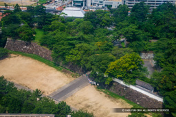 松ノ丸跡 | 高解像度画像サイズ：4919 x 3279 pixels | 写真番号：1DXL1450 | 撮影：Canon EOS-1D X