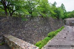 松ノ丸西面石垣 | 高解像度画像サイズ：5184 x 3456 pixels | 写真番号：1DXL1663 | 撮影：Canon EOS-1D X
