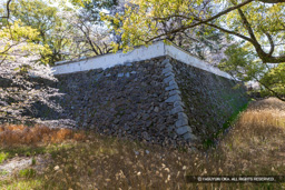 本丸北面石垣と空掘 | 高解像度画像サイズ：7224 x 4818 pixels | 写真番号：6F1A5626 | 撮影：Canon EOS R5m2