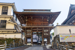 八坂神社東楼門 | 高解像度画像サイズ：7836 x 5226 pixels | 写真番号：6F1A5642 | 撮影：Canon EOS R5m2