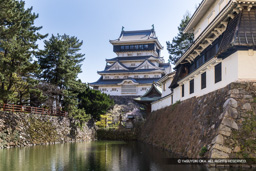 侍屋敷跡(北側)から望む天守 | 高解像度画像サイズ:8182 x 5457 pixels | 写真番号:6F1A5648 | 撮影:Canon EOS R5m2