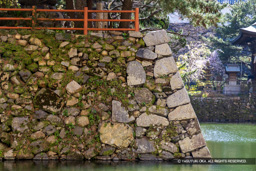 下台所石垣隅部 | 高解像度画像サイズ：8192 x 5464 pixels | 写真番号：6F1A5654 | 撮影：Canon EOS R5m2