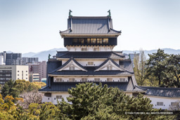 リバーウォーク北九州から小倉城天守 | 高解像度画像サイズ:8130 x 5423 pixels | 写真番号:6F1A5656 | 撮影:Canon EOS R5m2