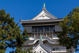 天守最上階 | 高解像度画像サイズ：7932 x 5291 pixels | 写真番号：6F1A5728 | 撮影：Canon EOS R5m2